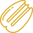 Pecan icon