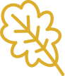 oak icon